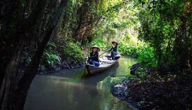 Begin your visa-prepared day with Vietnam’s tranquil ambiance